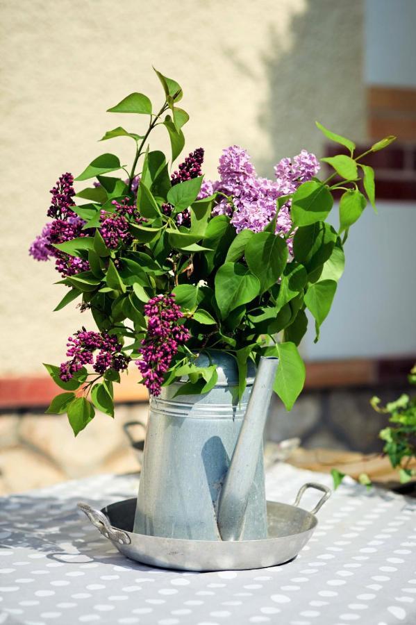 Les Belles Vignes Holiday home